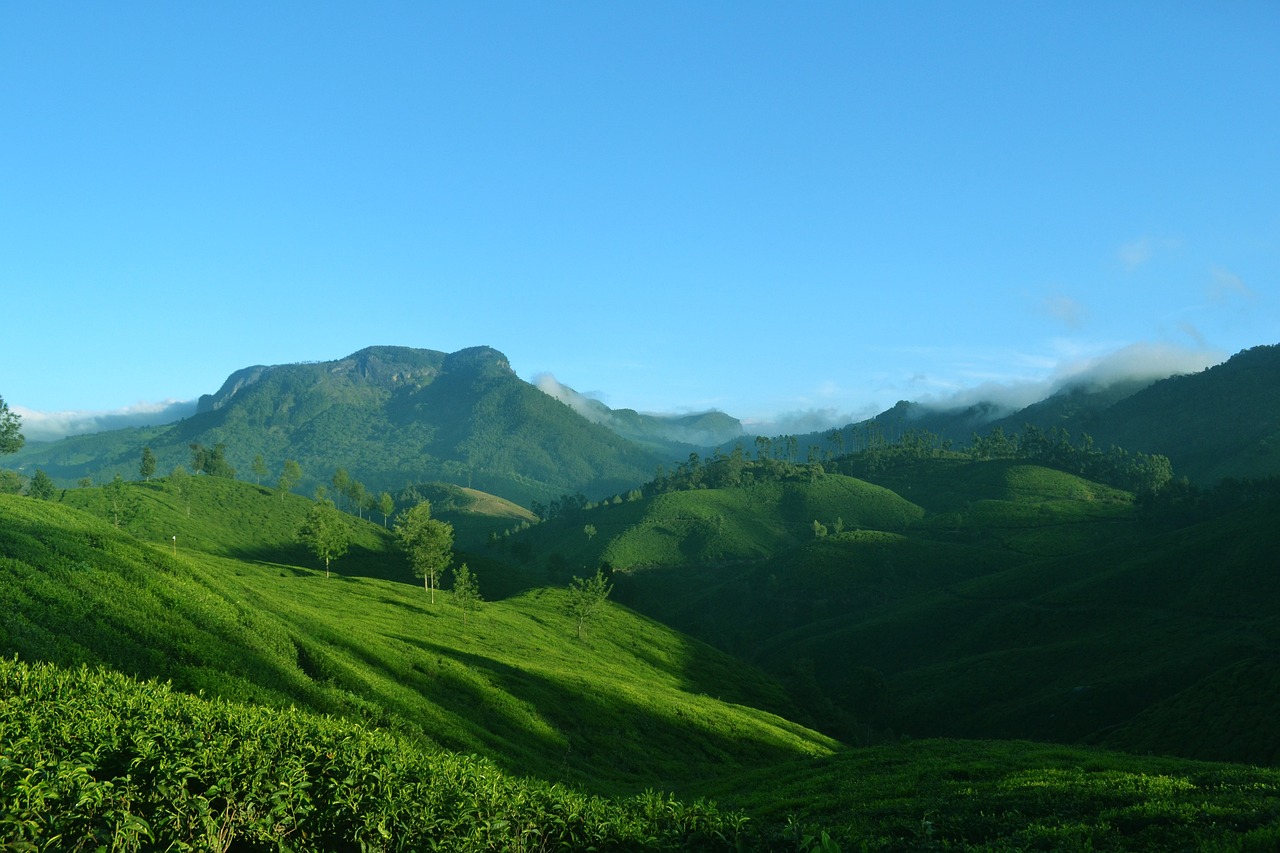 天阶山森林公园，绿色的诗篇