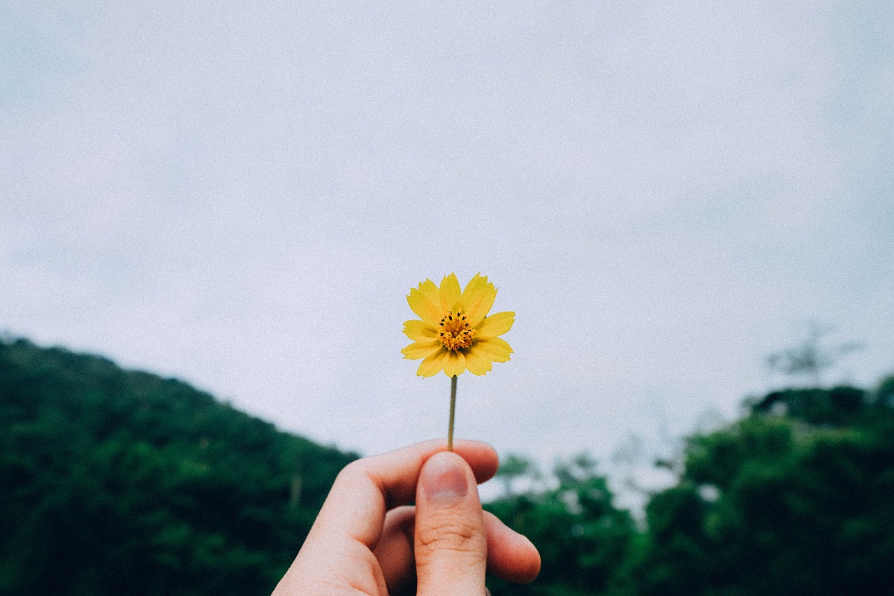 刚出生的宝宝，如何让爱无处不在？