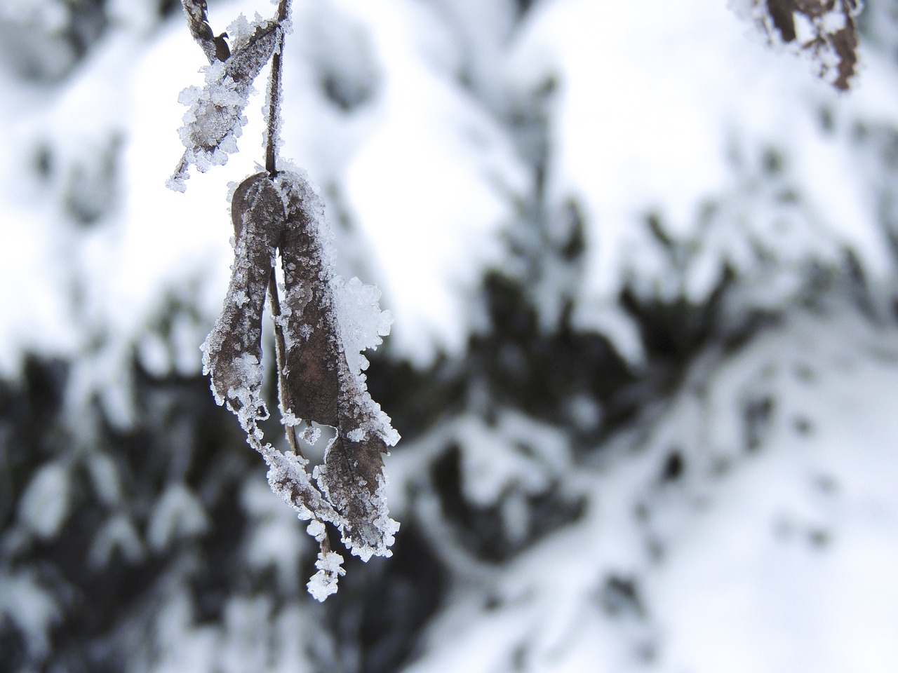 湖南江西暴雪冻雨齐发