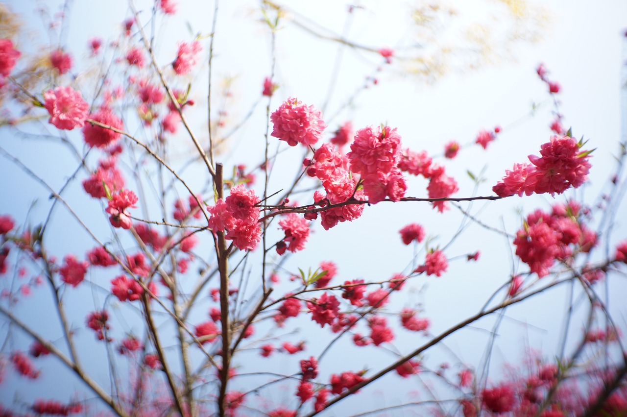 清明节的传说