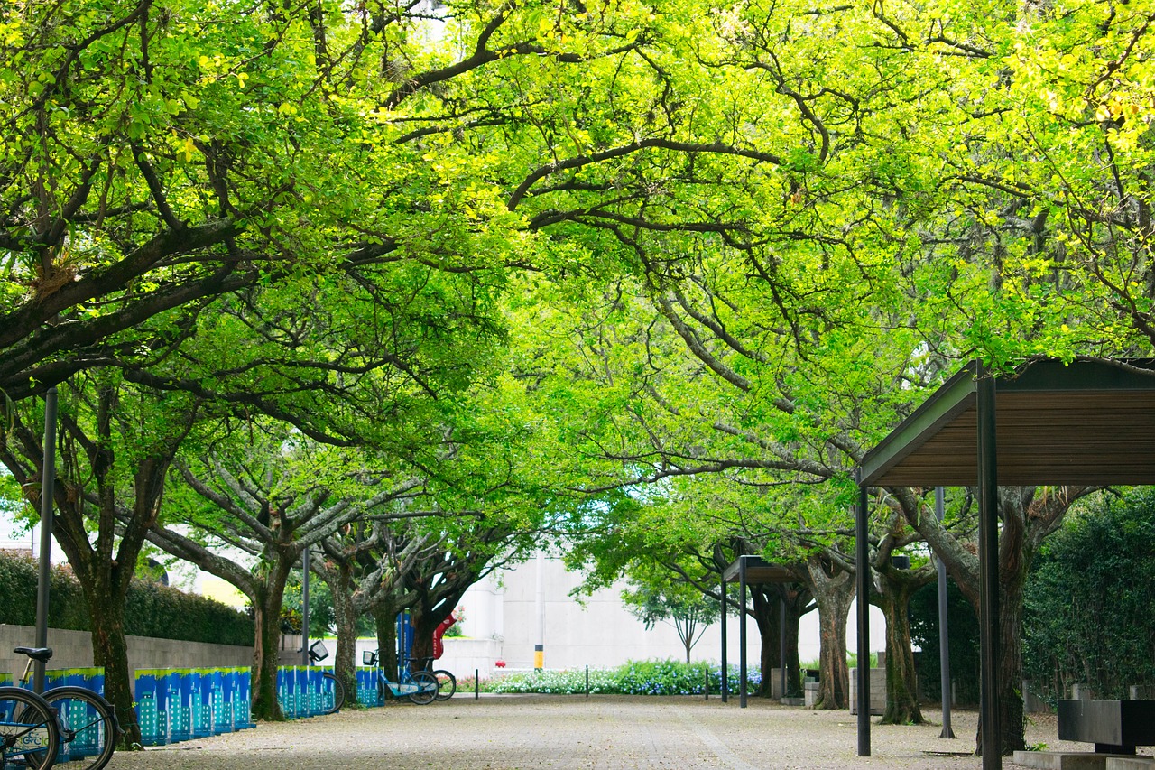 构建绿色高效城市空间